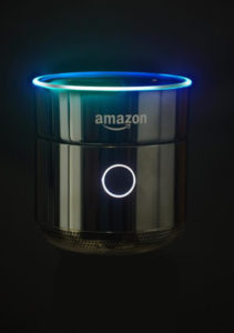 EVO for Amazon Echo Dot