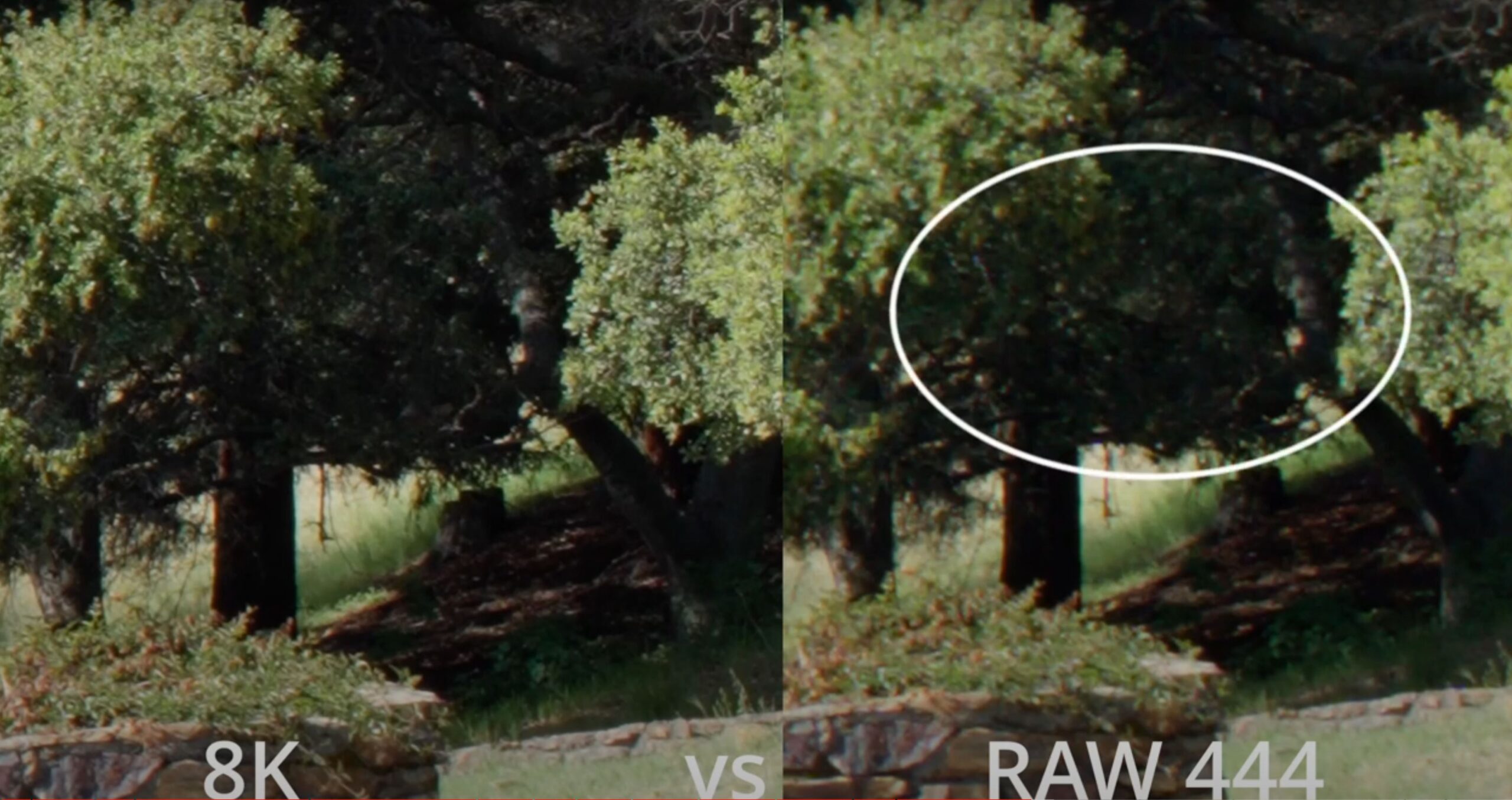 Shadow difference 8k vs Raw 4